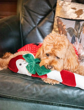 Load image into Gallery viewer, Clark Candy Cane