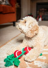 Load image into Gallery viewer, Holly Jolly Rope Toy