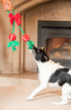 Load image into Gallery viewer, Holly Jolly Rope Toy