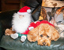 Load image into Gallery viewer, Sebastian Santa