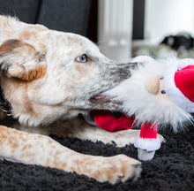 Load image into Gallery viewer, Sebastian Santa