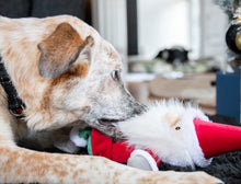 Load image into Gallery viewer, Sebastian Santa