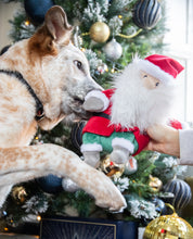 Load image into Gallery viewer, Sebastian Santa