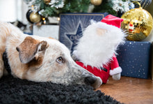 Load image into Gallery viewer, Sebastian Santa