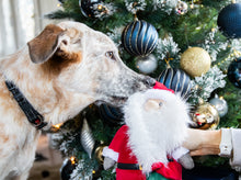 Load image into Gallery viewer, Sebastian Santa