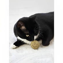 Load image into Gallery viewer, Naturals Catnip Ball