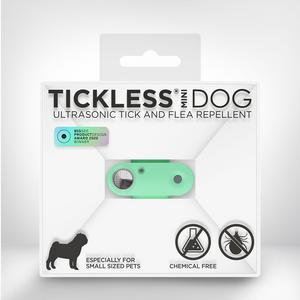 Tickless Mini Dog