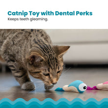 Load image into Gallery viewer, Catstages Dental Shrimpies