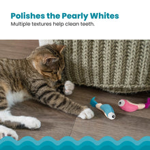 Load image into Gallery viewer, Catstages Dental Shrimpies