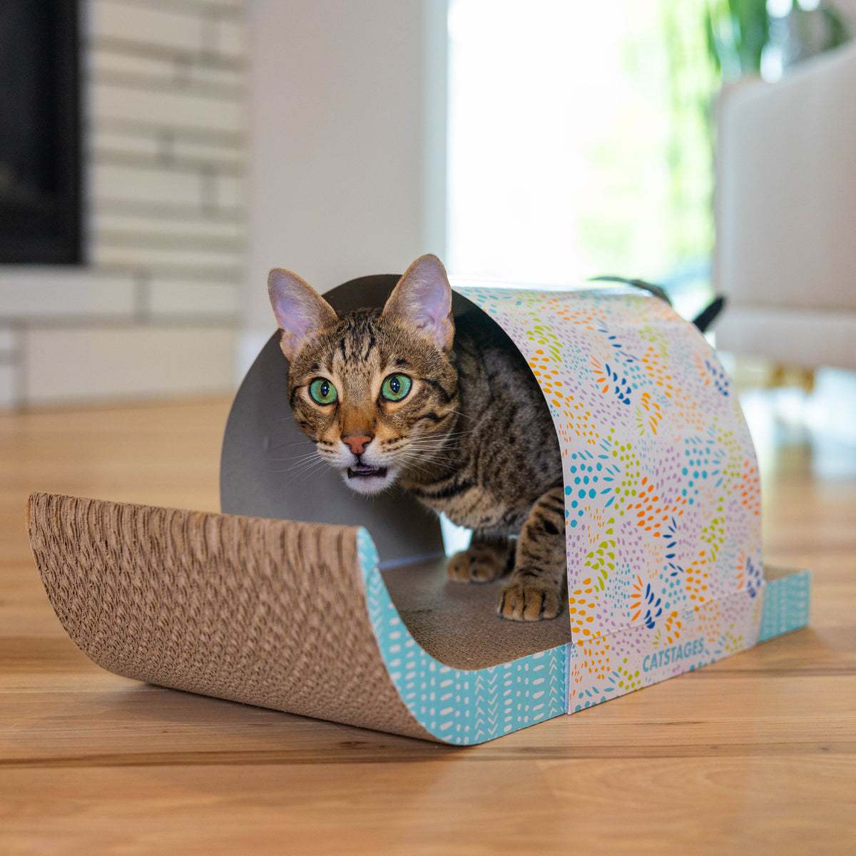 Catstages Cat Tunnel Scratcher – McMac Pet SA
