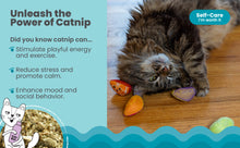 Load image into Gallery viewer, Catstages Fruit Wedges 4Pk