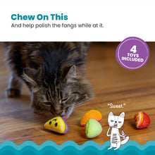 Load image into Gallery viewer, Catstages Fruit Wedges 4Pk