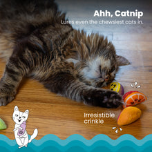 Load image into Gallery viewer, Catstages Fruit Wedges 4Pk
