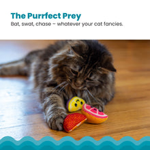 Load image into Gallery viewer, Catstages Fruit Wedges 4Pk