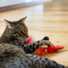 Load image into Gallery viewer, Catstages Racin’ Squirrel Robot Toy