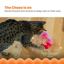 Load image into Gallery viewer, Catstages Racin’ Squirrel Robot Toy