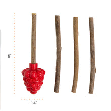 Load image into Gallery viewer, Catstages Dental Raspberry Silvervine Teether