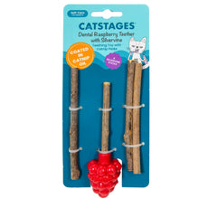 Load image into Gallery viewer, Catstages Dental Raspberry Silvervine Teether