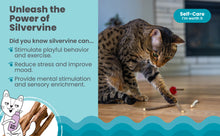 Load image into Gallery viewer, Catstages Dental Raspberry Silvervine Teether