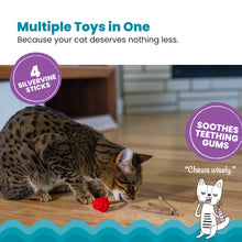 Load image into Gallery viewer, Catstages Dental Raspberry Silvervine Teether