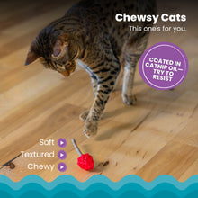 Load image into Gallery viewer, Catstages Dental Raspberry Silvervine Teether