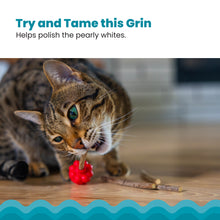 Load image into Gallery viewer, Catstages Dental Raspberry Silvervine Teether