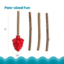 Load image into Gallery viewer, Catstages Dental Raspberry Silvervine Teether