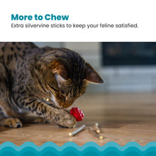 Load image into Gallery viewer, Catstages Dental Raspberry Silvervine Teether