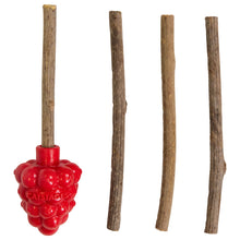 Load image into Gallery viewer, Catstages Dental Raspberry Silvervine Teether