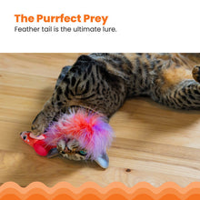 Load image into Gallery viewer, Catstages Racin’ Squirrel Robot Toy