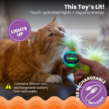 Load image into Gallery viewer, Catstages Roll &amp; Chase Robot Toy