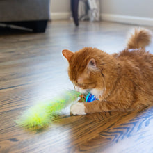Load image into Gallery viewer, Catstages Roll &amp; Chase Robot Toy