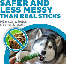 Load image into Gallery viewer, Petstages Dogwood 2PK Original/Fresh Breath LG