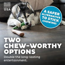Load image into Gallery viewer, Petstages Dogwood 2PK Original/Fresh Breath LG