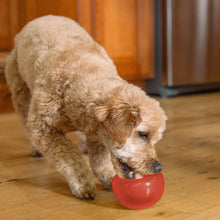 Load image into Gallery viewer, Petstages Planet Dog Lil Snoop