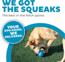 Load image into Gallery viewer, Petstages Planet Dog  Squeak Ball - Blue / Orange