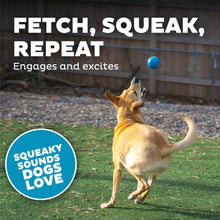 Load image into Gallery viewer, Petstages Planet Dog  Squeak Ball - Blue / Orange