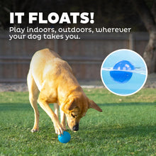 Load image into Gallery viewer, Petstages Planet Dog  Squeak Ball - Blue / Orange