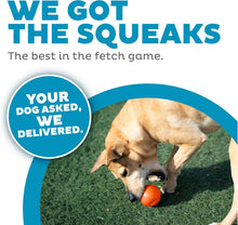 Load image into Gallery viewer, Petstages Planet Dog  Squeak Ball - Blue / Orange