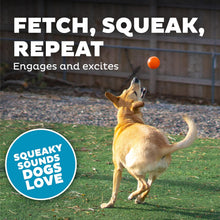 Load image into Gallery viewer, Petstages Planet Dog  Squeak Ball - Blue / Orange