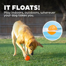 Load image into Gallery viewer, Petstages Planet Dog  Squeak Ball - Blue / Orange