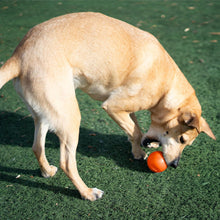 Load image into Gallery viewer, Petstages Planet Dog  Squeak Ball - Blue / Orange