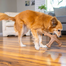 Load image into Gallery viewer, Pupstages Dogwood Jack