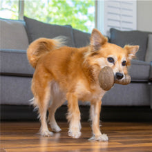 Load image into Gallery viewer, Pupstages Dogwood Mushroom Dog Chew Toy
