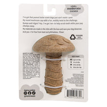 Load image into Gallery viewer, Pupstages Dogwood Mushroom Dog Chew Toy
