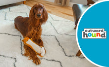 Load image into Gallery viewer, Outward Hound Stuffing-Free Fox