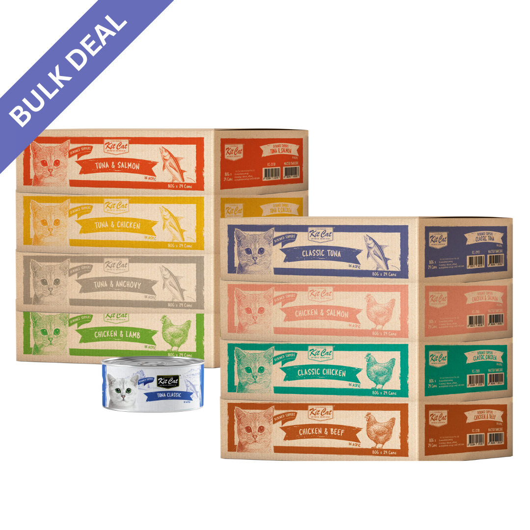 Canned Food Bulk Buy Cat Food Kit Cat Canned Food Aspic