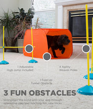 Load image into Gallery viewer, Outward Hound Zip &amp; Zoom Indoor Agility Kit