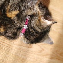 Load image into Gallery viewer, Cat Collar Damson