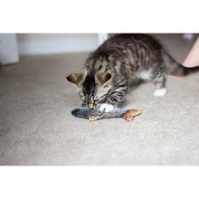 Load image into Gallery viewer, Jolly Moggy Catnip Trout Toy